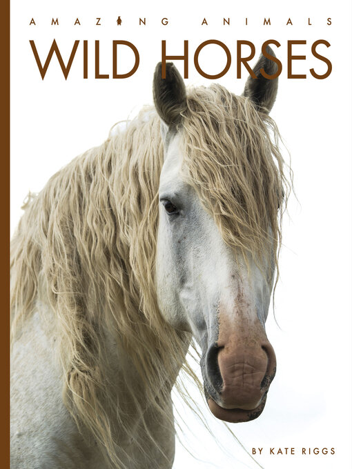 Title details for Wild Horses by Kate Riggs - Available